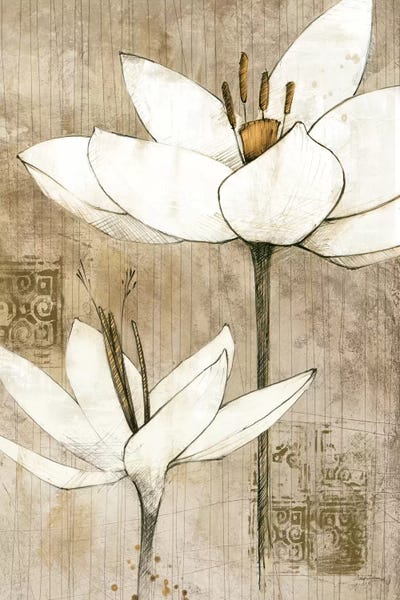 Avery Tillmon: Pencil Floral I  by Avery Tillmon