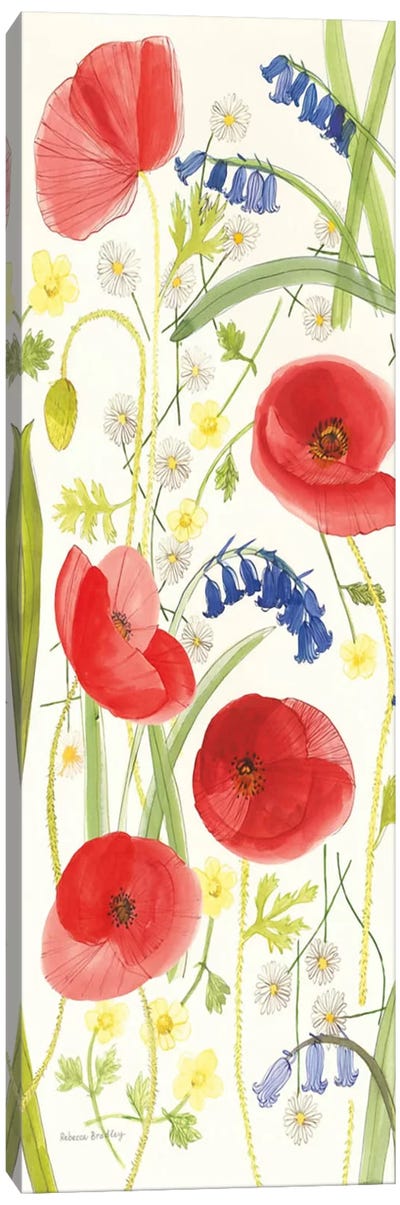 Meadow Poppies II Canvas Art Print - Rebecca Bradley