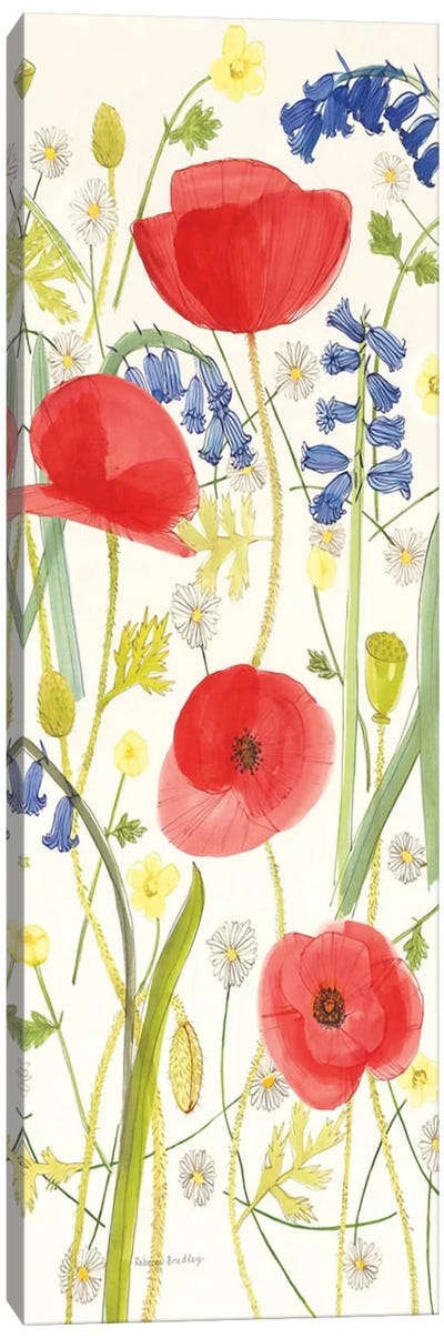 Meadow Poppies III Canvas Art Print - Rebecca Bradley