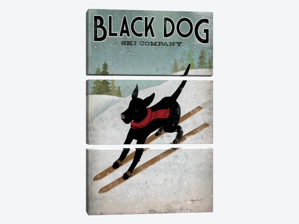 Black Dog Ski Co. I by Ryan Fowler 3-piece Canvas Artwork
