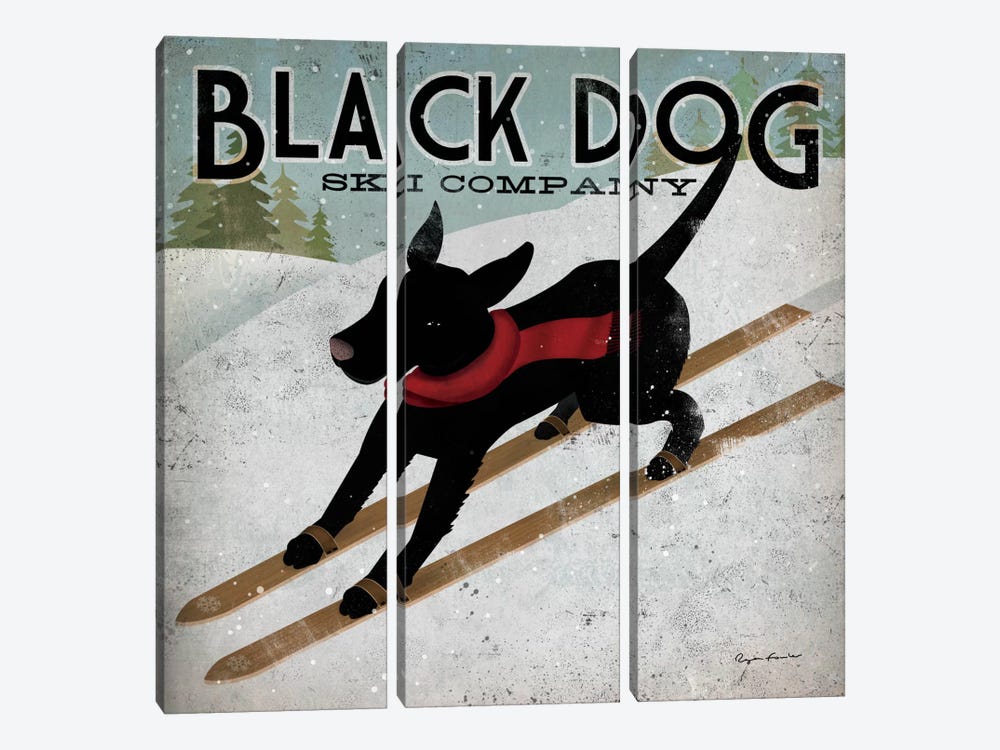 Black Dog Ski Co. II by Ryan Fowler 3-piece Canvas Art