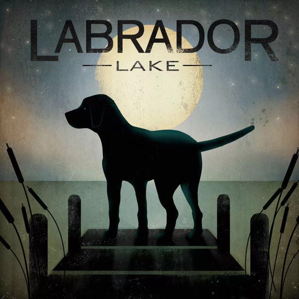 Ryan Fowler: Labrador Lake by Ryan Fowler