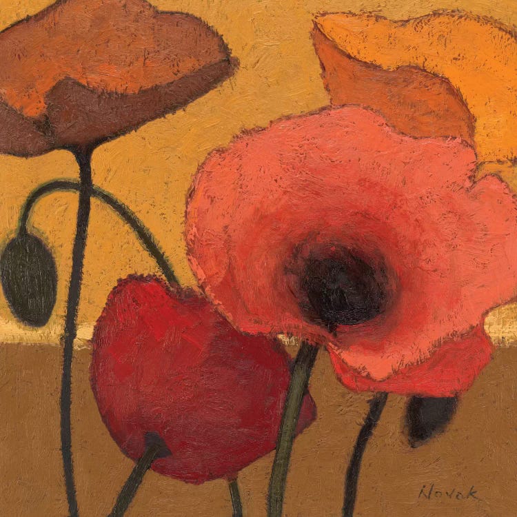 Poppy Curry I by Shirley Novak wall art