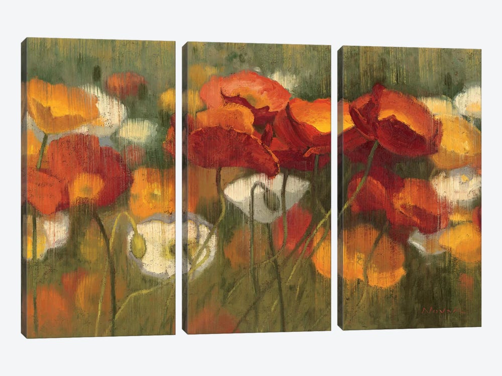 The Power of Red II by Shirley Novak 3-piece Canvas Artwork