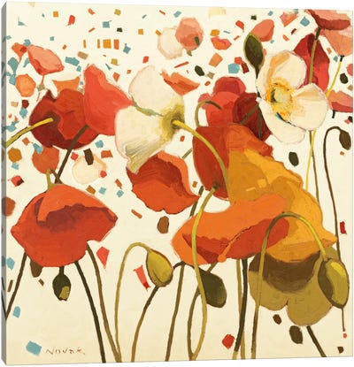 Coral Confetti Canvas Art Print - Shirley Novak