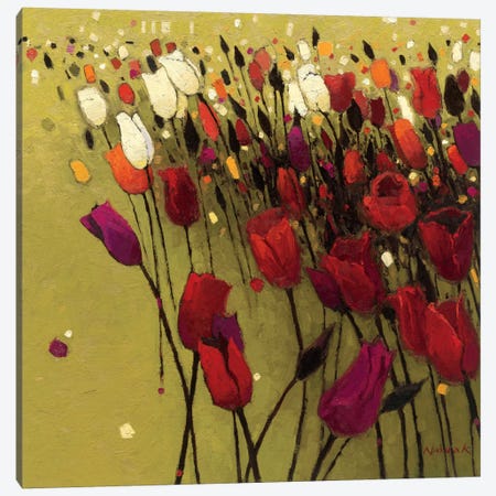 Tulip Drift Green  Canvas Print #WAC1175} by Shirley Novak Canvas Art