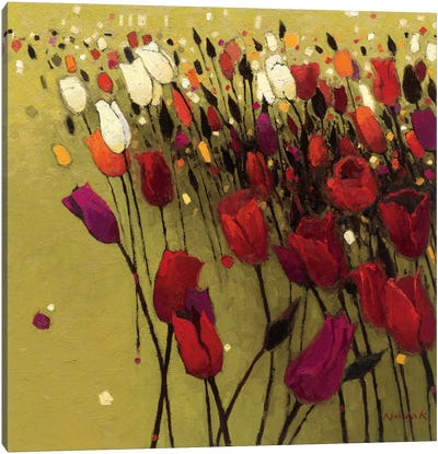 Tulip Drift Green  Canvas Art Print - Shirley Novak