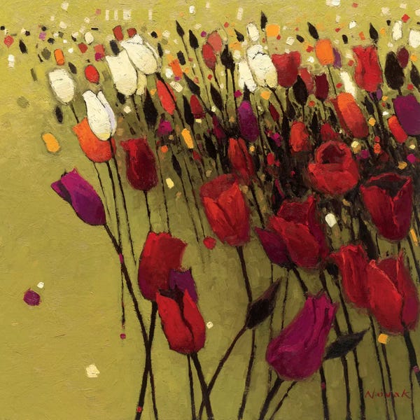 Tulips: Tulip Drift Green  by Shirley Novak