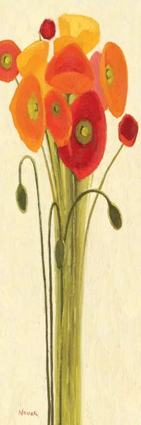 Poppies: Sizzle II by Shirley Novak