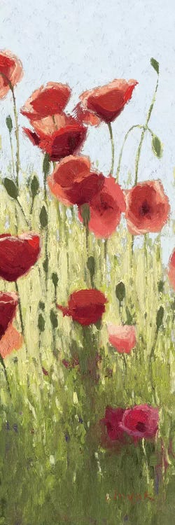 Mountain Poppies I by Shirley Novak wall art