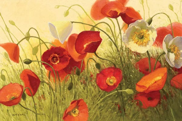 Poppies: Havin a Heat Wave by Shirley Novak