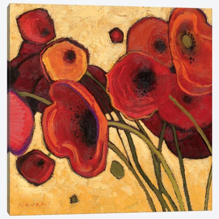 Poppies Wildly I  Canvas Print #WAC1196} by Shirley Novak Canvas Wall Art