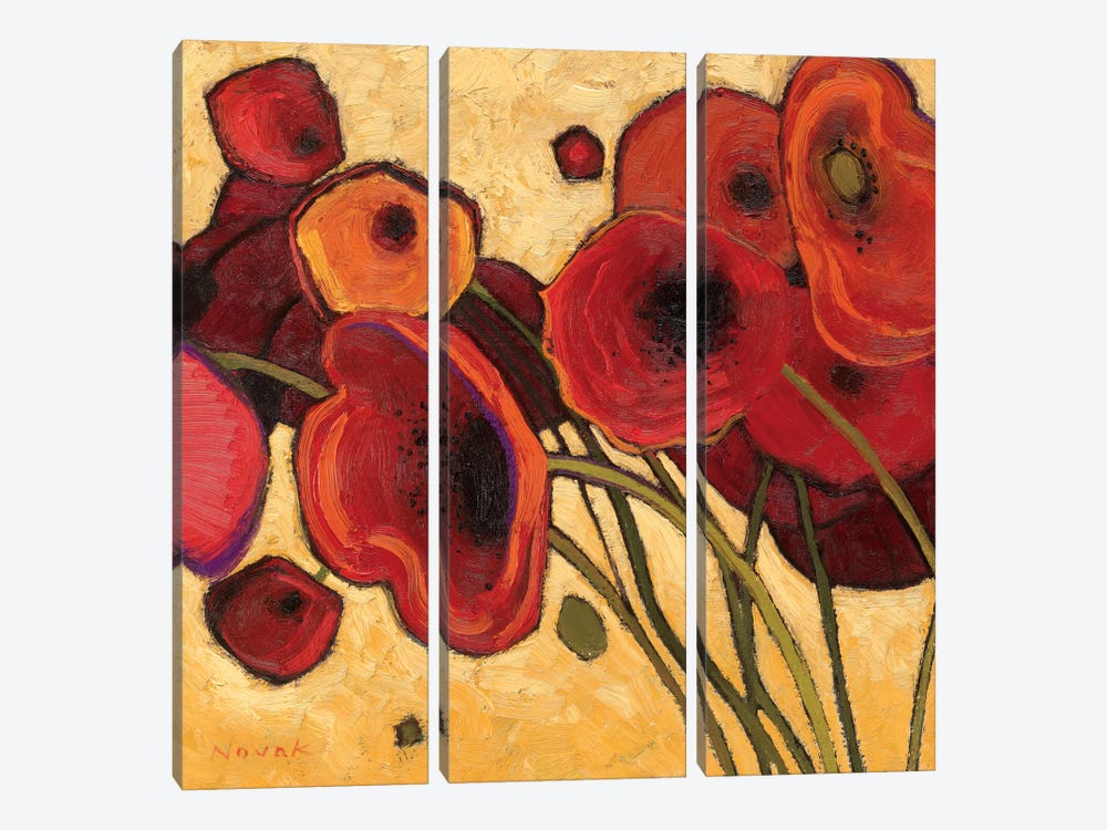 Poppies Wildly I  by Shirley Novak 3-piece Canvas Art