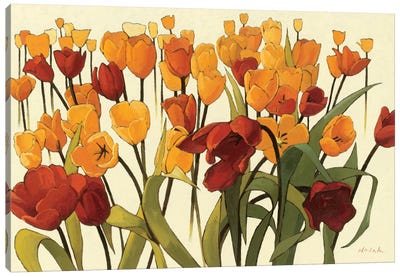 Tulipomania Canvas Art Print - Tulip Art