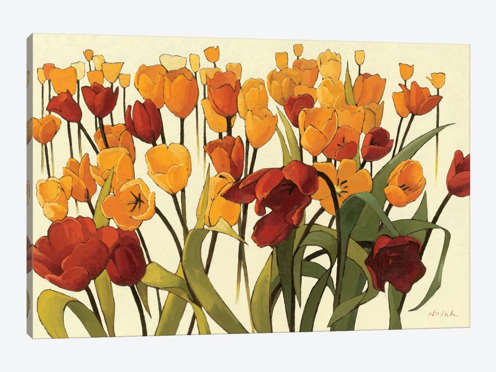 Tulipomania by Shirley Novak 1-piece Canvas Art Print
