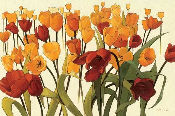Tulips: Tulipomania by Shirley Novak
