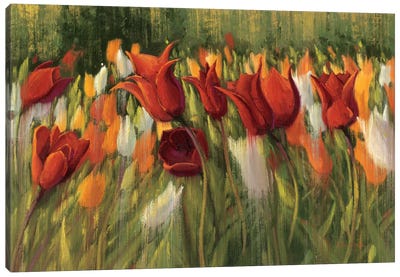 Tipsy Tulips Canvas Art Print - Tulip Art