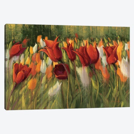 Tipsy Tulips Canvas Print #WAC1202} by Shirley Novak Canvas Print