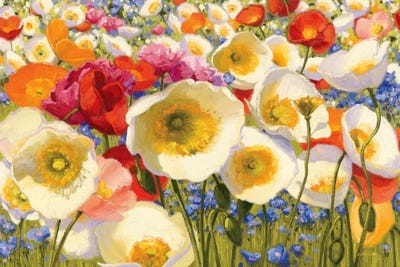 Sunny Abundance by Shirley Novak canvas print