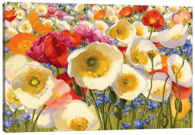 Sunny Abundance Canvas Art Print - Shirley Novak