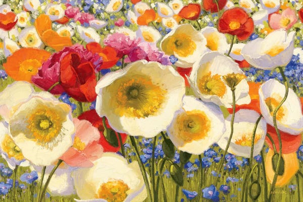 Shirley Novak: Sunny Abundance by Shirley Novak