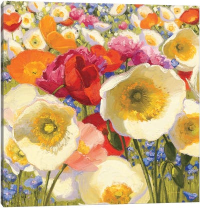 Sunny Abundance  Canvas Art Print - Shirley Novak