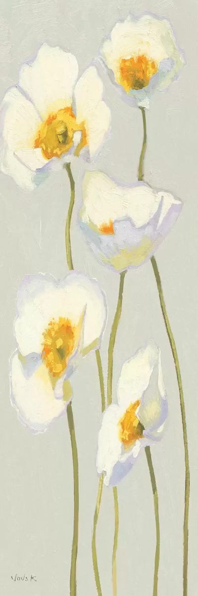 White on White Poppies Panel II   by Shirley Novak canvas print