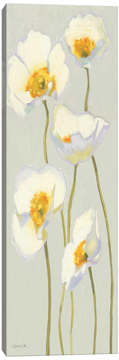 White on White Poppies Panel II   Canvas Art Print - Shirley Novak