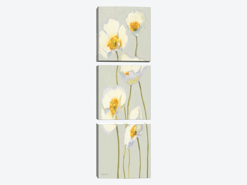 White on White Poppies Panel II   by Shirley Novak 3-piece Canvas Wall Art