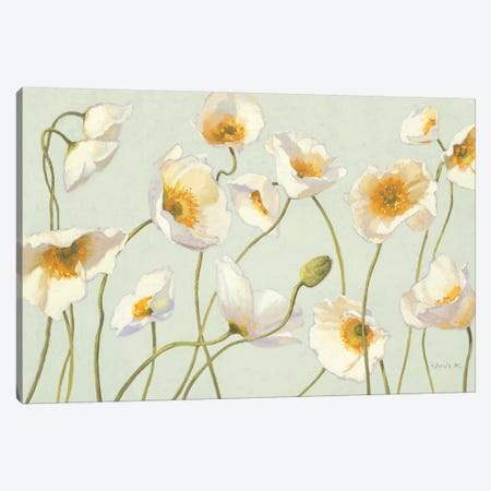 White and Bright Poppies  Canvas Print #WAC1226} by Shirley Novak Canvas Artwork
