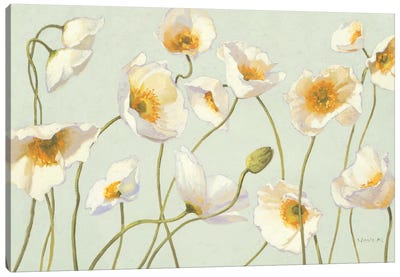 White and Bright Poppies  Canvas Art Print - Poppy Art