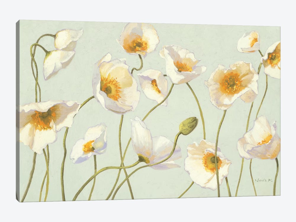 White and Bright Poppies  by Shirley Novak 1-piece Canvas Art Print