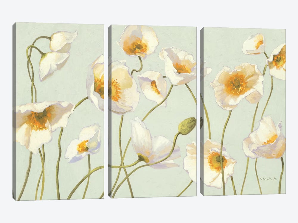 White and Bright Poppies  by Shirley Novak 3-piece Canvas Print
