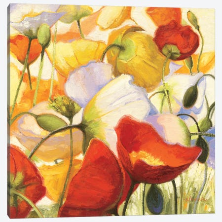 Poppies Up Close Canvas Print #WAC1227} by Shirley Novak Canvas Artwork
