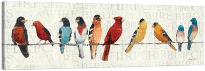 The Usual Suspects - Birds on a Wire Canvas Art Print - Bird Art