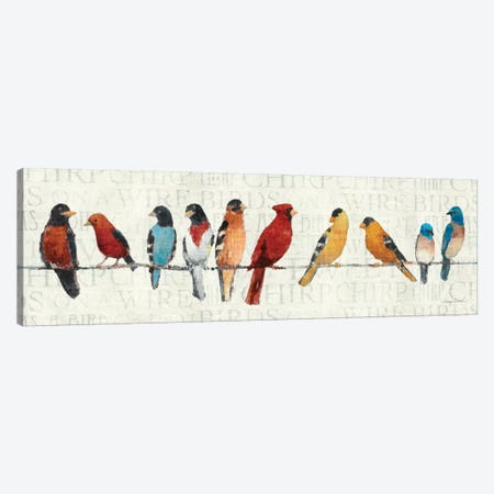 The Usual Suspects - Birds on a Wire Canvas Print #WAC128} by Avery Tillmon Art Print