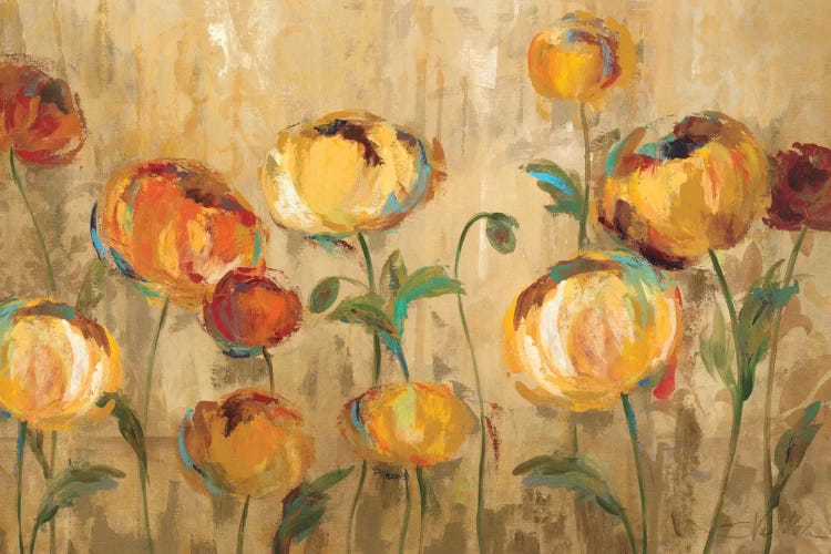 Joyful Ranunculi by Silvia Vassileva wall art