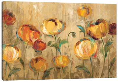 Joyful Ranunculi Canvas Art Print - Garden & Floral Landscape Art