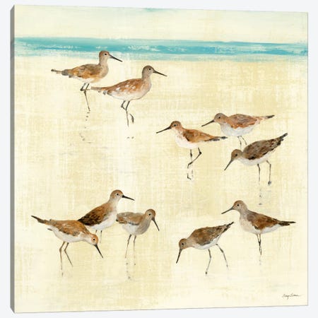 Sandpipers  Canvas Print #WAC131} by Avery Tillmon Canvas Art