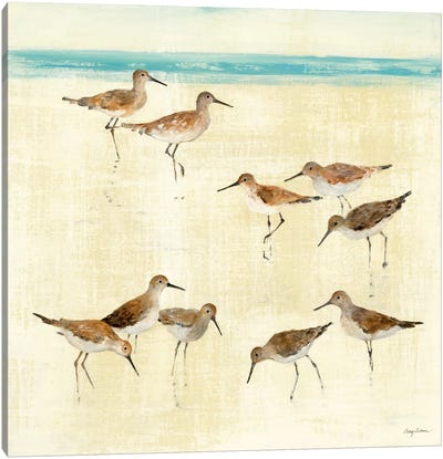 Sandpipers  Canvas Art Print - Avery Tillmon