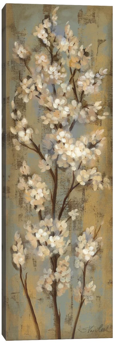 Almond Branch II Canvas Art Print - Almond Blossom Art