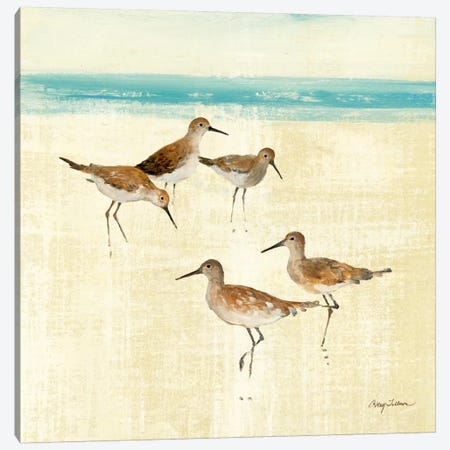 Sand Pipers Square I  Canvas Print #WAC132} by Avery Tillmon Canvas Artwork