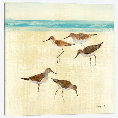 Sand Pipers Square II  Canvas Print #WAC133} by Avery Tillmon Canvas Artwork