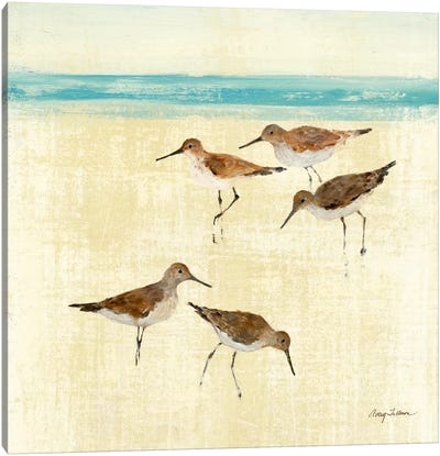 Sand Pipers Square II  Canvas Art Print - Avery Tillmon