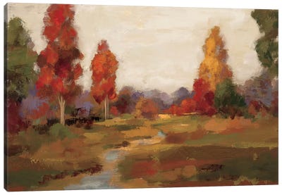 Fall Creek  Canvas Art Print - Silvia Vassileva