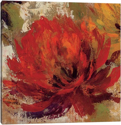 Fiery Dahlias II  Canvas Art Print - Flower Art
