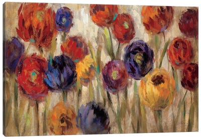 Asters and Mums  Canvas Art Print - Chrysanthemum Art