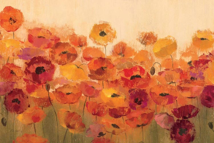 Summer Poppies  by Silvia Vassileva wall art