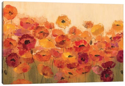 Summer Poppies  Canvas Art Print - Garden & Floral Landscape Art
