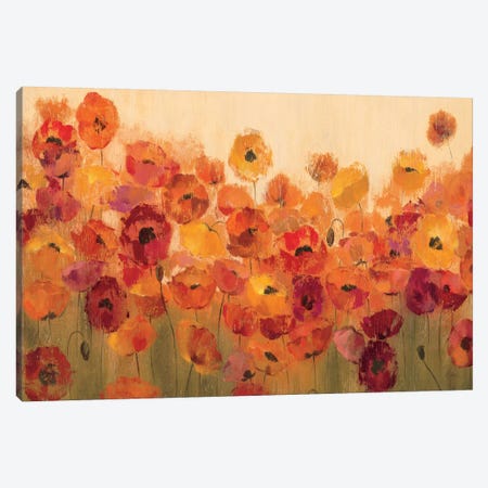 Summer Poppies II Canvas Print #WAC1406} by Silvia Vassileva Canvas Artwork